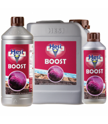 HESI BOOST 1L