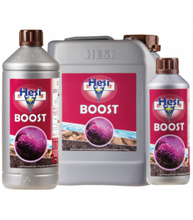 HESI BOOST 500 ML