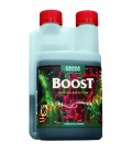 CANNA BOOST ACCELERATOR 1 LITRE
