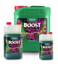 CANNA BOOST ACCELERATOR 1 LITRE