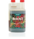 CANNA BOOST