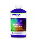 GREEN SENSATION 500 ml