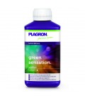 GREEN SENSATION 1L