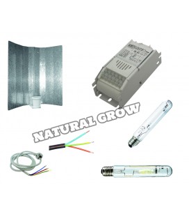 PACK COMPLET 250 WATT MH ET HPS REFLECTEUR BASIC 