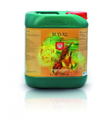 BUD XL 5 LITRES