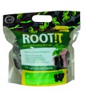 ROOT!T EN POCHE DE 50 CUBE