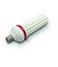 CFL CROISSANCE / FLO 200 WATT