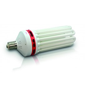 CFL CROISSANCE / FLO 200 WATT