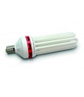 CFL CROISSANCE / FLO 250 WATT 