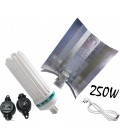 PACK COMPLET ECO CFL 250 WATTS CROISANCE 
