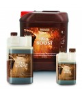 CANNA BIO BOOST 250 ML