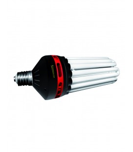 CFL 300 WATT