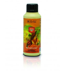 BUD XL 250 ML 