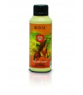 BUD XL 250 ML 