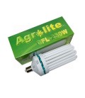 AMPOULES CFL AGRO 